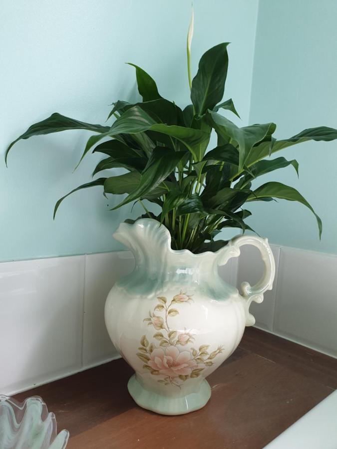 Rosebank Guesthouse Healesville Exteriör bild