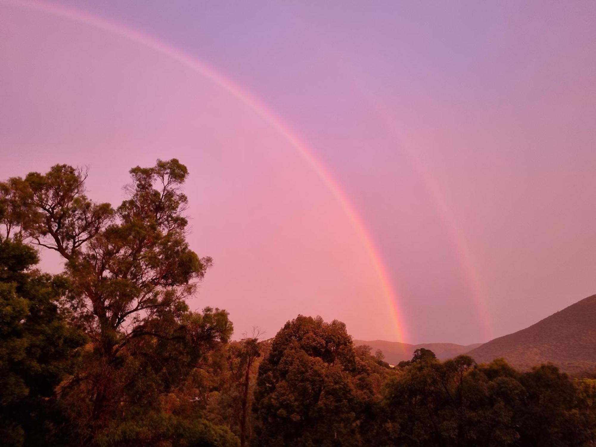 Rosebank Guesthouse Healesville Exteriör bild